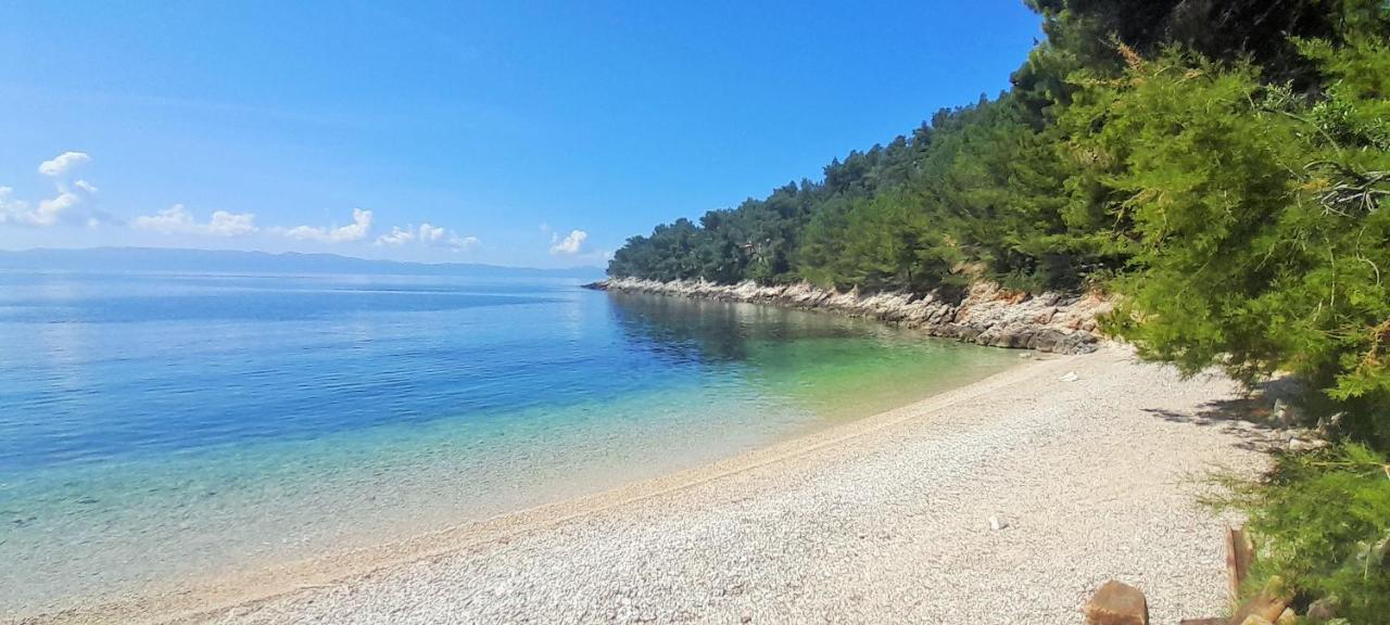 Apartman Bonkovic *